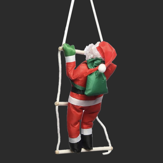 Santa Claus Climbing Ladder